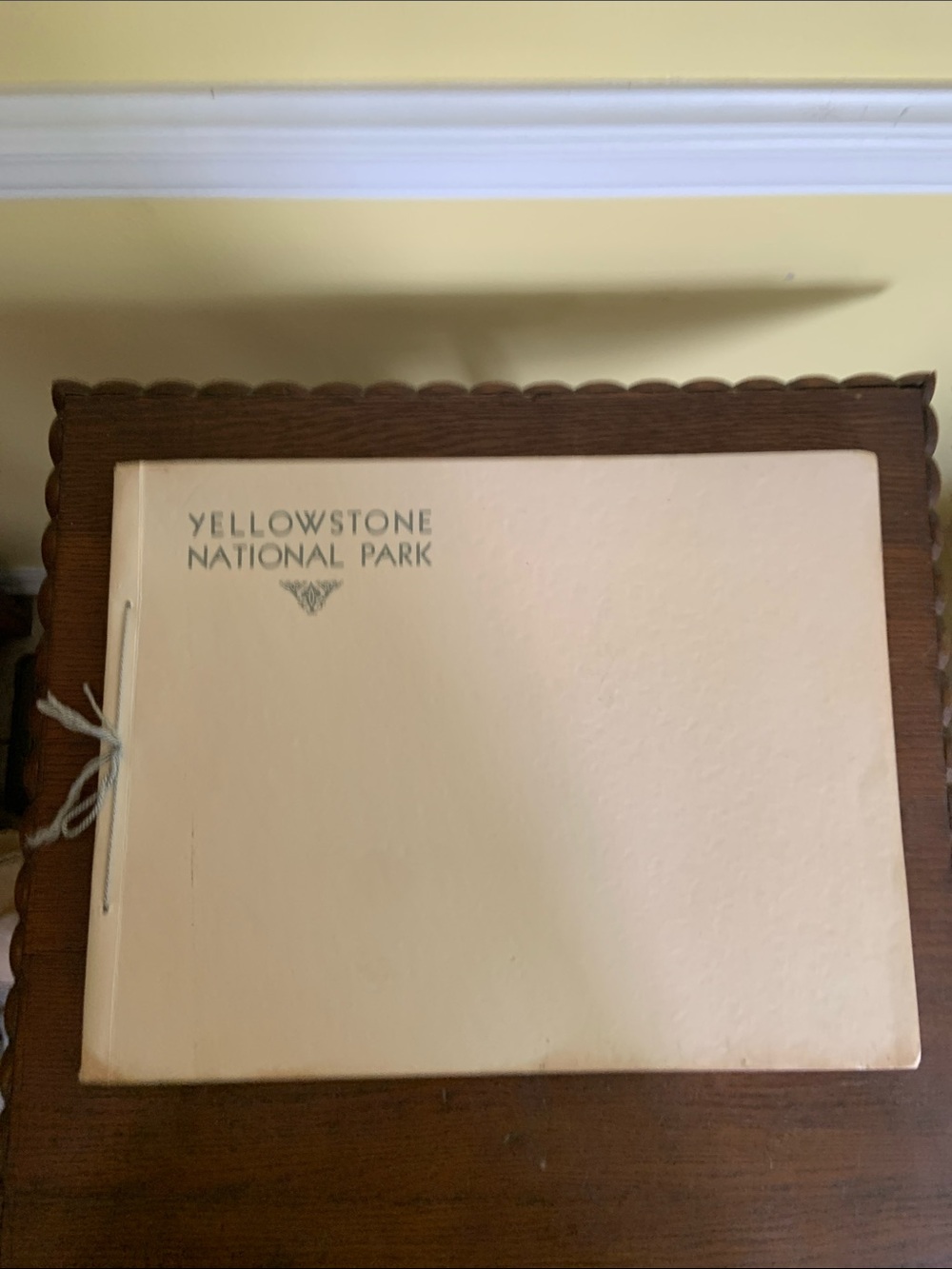 Vintage Yellowstone National Park Softcover Tinted Pictures Album Haynes